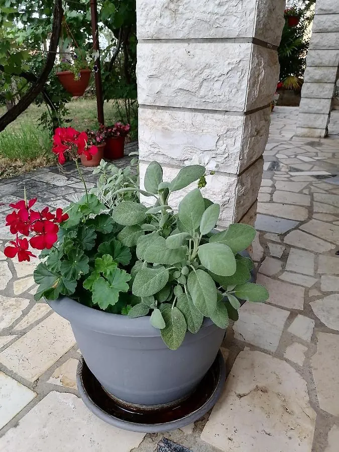 Apartment Summer 2 Crikvenica Croatia